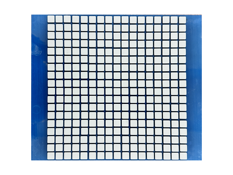 CSHS-101002MTF
