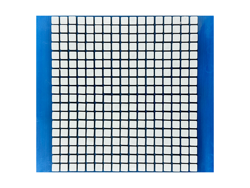 CSHS-101003MTF