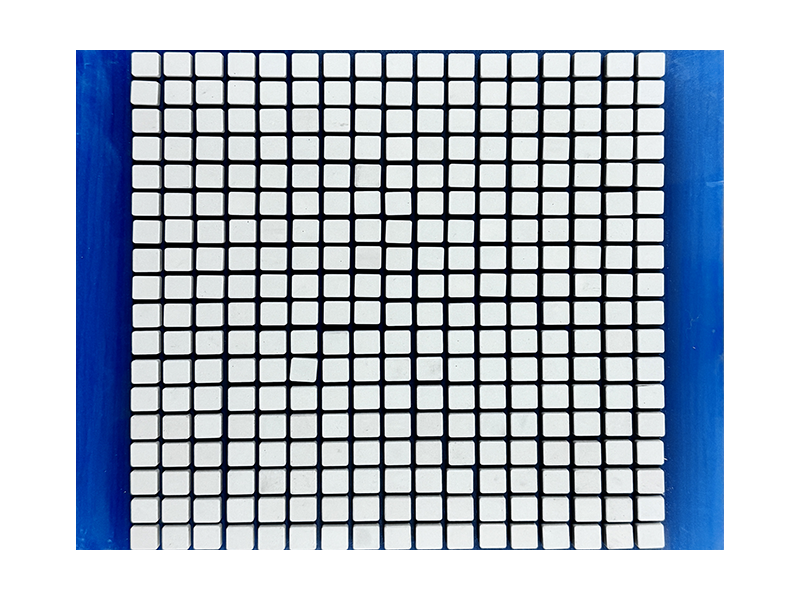 CSHS-101005MTF