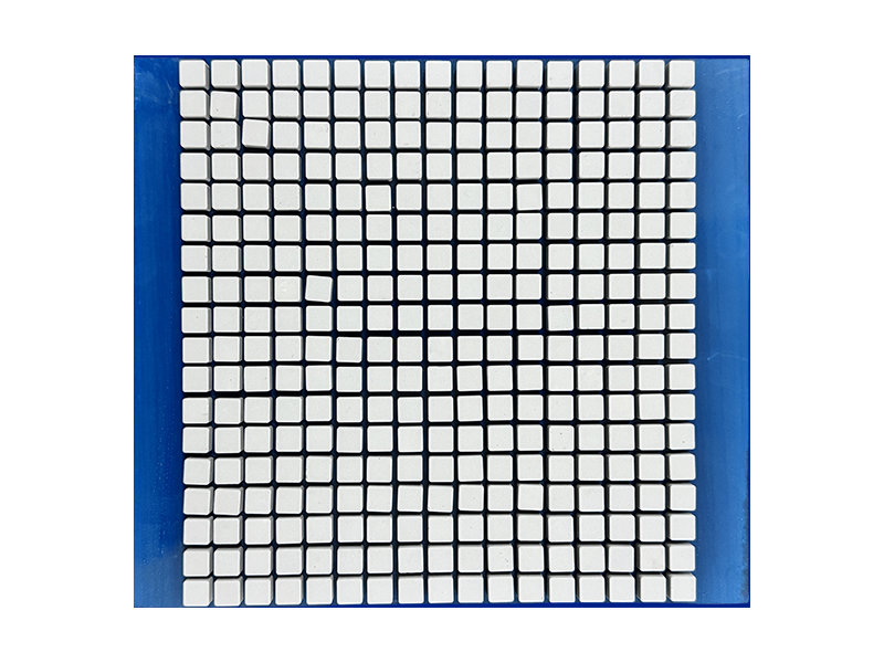 CSHS-101007MTF
